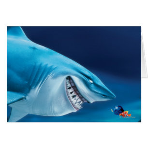 Bruce, Nemo et Dory 1