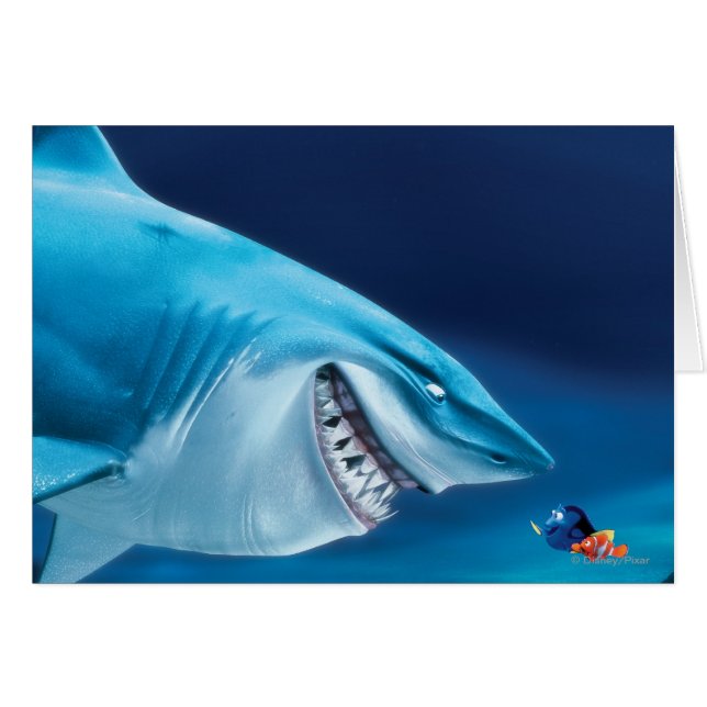 Bruce, Nemo et Dory 1 (Devant horizontal)