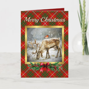 Bruce Stag & Robin Tartan Personalized  Holiday Card