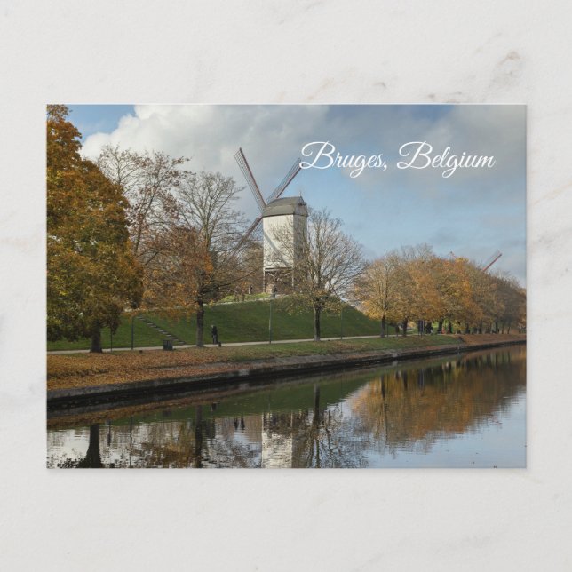 Bruges Windmills Autumn Reflections  Holiday Postcard (Front)