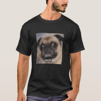 Bruh Funny Pug Dog Face Blurry Meme Cute Photo Lon