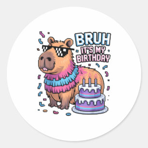 Bruh It's My Birthday Capybara Nata Boy Girl Birth Classic Round Sticker
