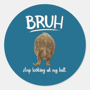 Bruh Look Frog Butt Meme Classic Round Sticker