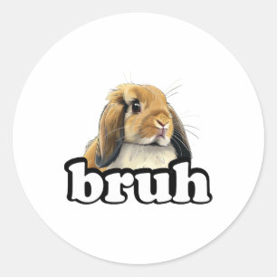 Bruh Mini Holland Lop Bunny Rabbit Lover  Classic Round Sticker