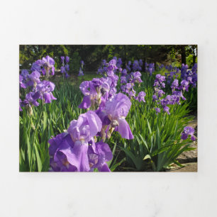 Bruised and Battered Card