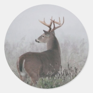 bruiser classic round sticker