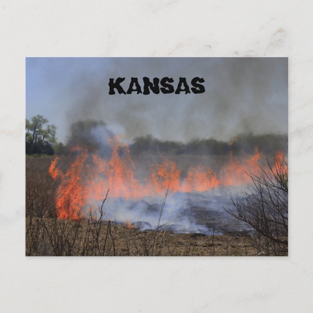 Brûlage d'herbe du Kansas pour la nouvelle carte p (Devant)