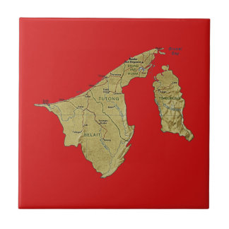 Brunei Map Tile