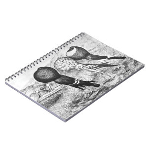 Brunner Pouter Pigeons Notebook