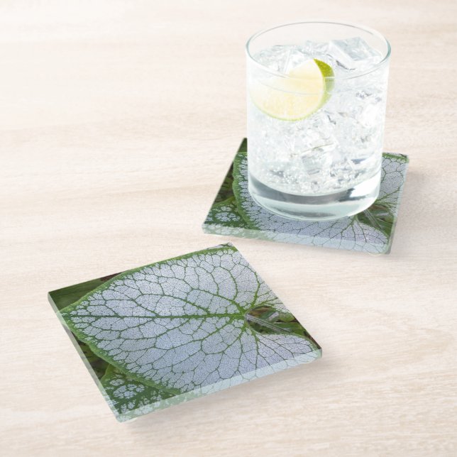Brunnera Macrophylla Plant Leaf Floral Glass Coaster (Angled)