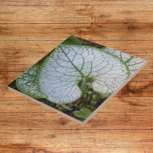 Brunnera Macrophylla Plant Leaf Floral Tile (In Situ)