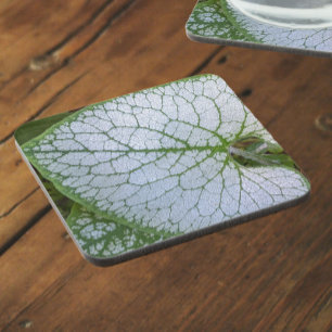 Brunnera Macrophyllum Plant Leaf Floral Coaster