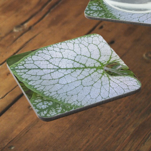 Brunnera Macrophyllum Plant Leaf Floral Coaster (In Situ)