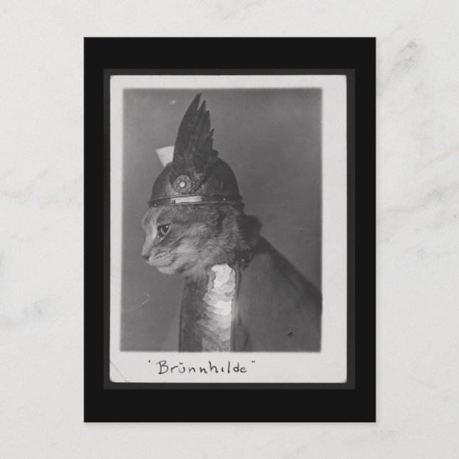 Brunnhilde kitty postcard (Front)