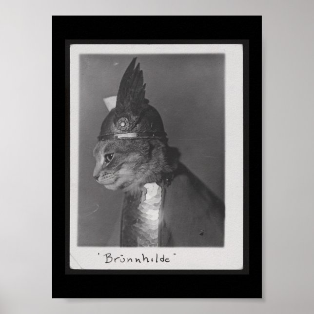 Brunnhilde kitty poster (Front)