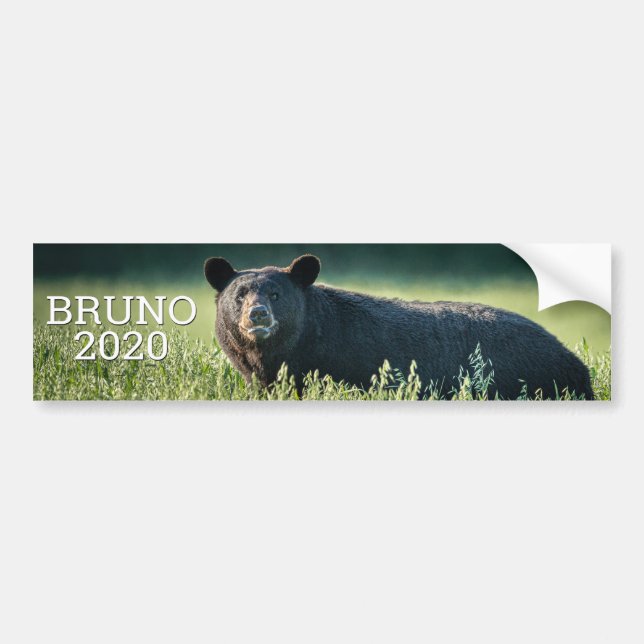 Bruno 2020 Bumper Sticker (Front)