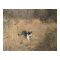 Bruno Liljefors - Cat Bird Hunting