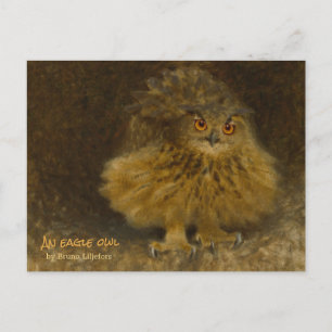 Bruno Liljefors Eagle owl CC0710 Wildlife Postcard