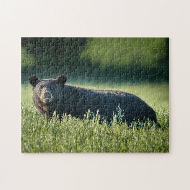 Bruno the Bear Puzzle (Horizontal)