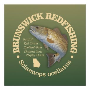 Brunswick GA (redfish) Poster