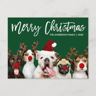 Brush Script Star Merry Christmas Dogs Green Postcard