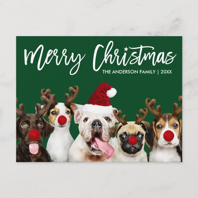Brush Script Star Merry Christmas Dogs Green Postcard (Front)