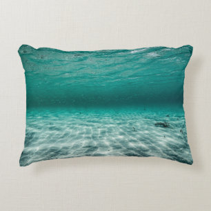 Brushed Polyester Accent Pillow