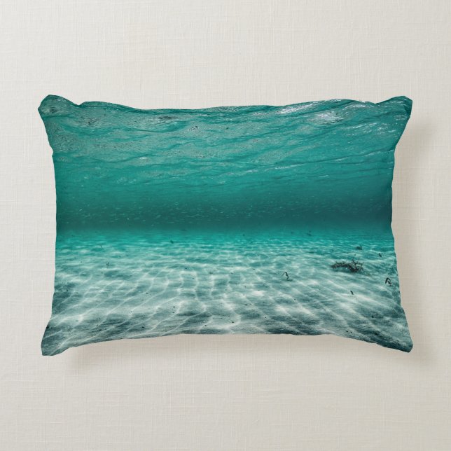 Brushed Polyester Accent Pillow (Front)
