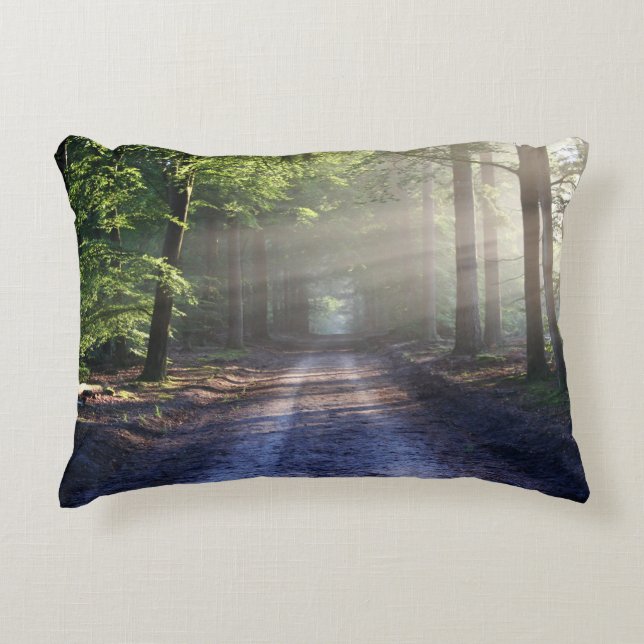 Brushed Polyester Accent Pillow (Front)
