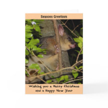 Brushtail Possum Xmas Card