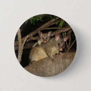 Brushtail Possums 2 Inch Round Button