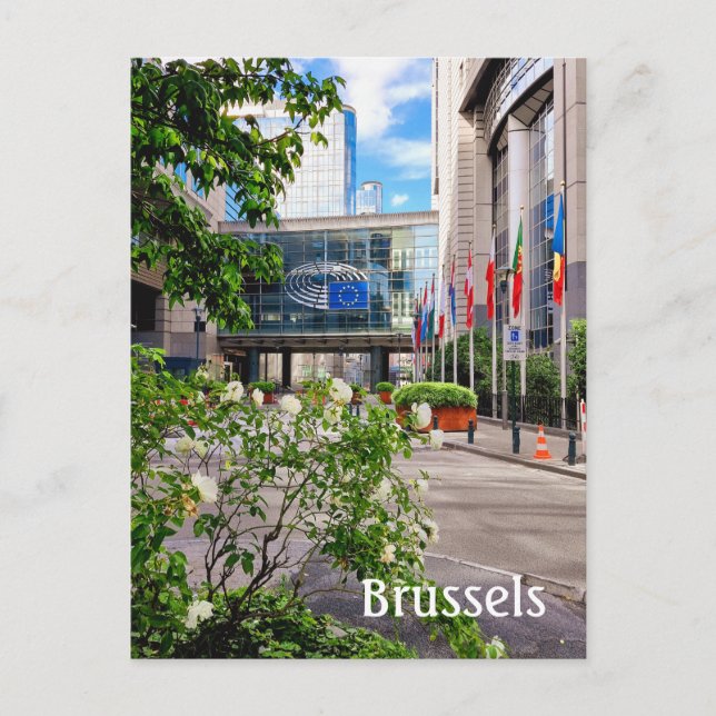 Brussels Belgium photo Postcard (Front)
