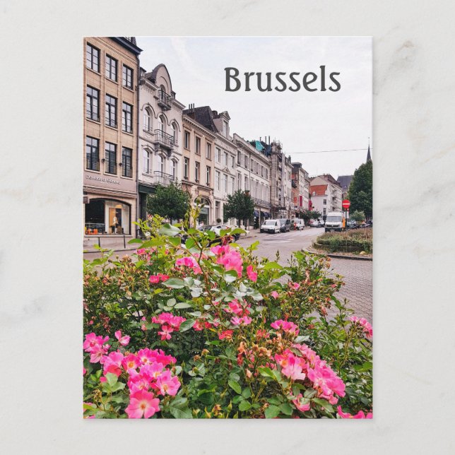 Brussels Belgium street photo  Postcard (Front)