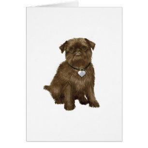 Brussels Griffon #2 (brown)