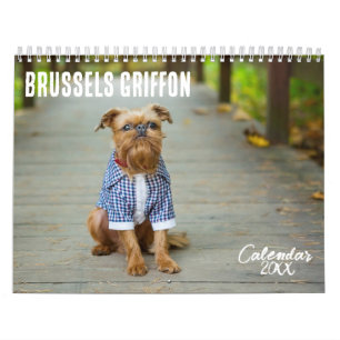 Brussels Griffon calendar 2026