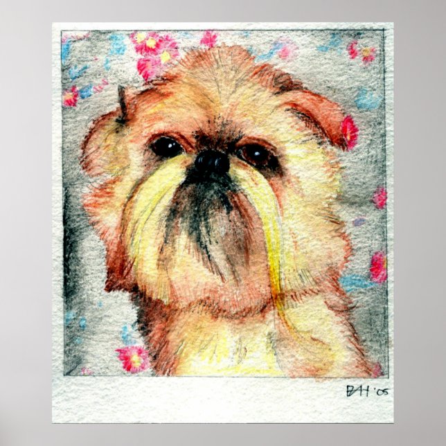 Brussels Griffon Dog Portrait Poster (Front)