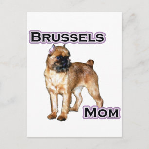 Brussels Griffon Mom; Mom of Brussels Griffon Postcard