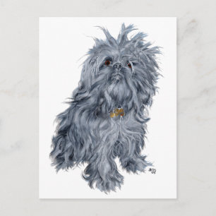 Brussels Griffon Postcard