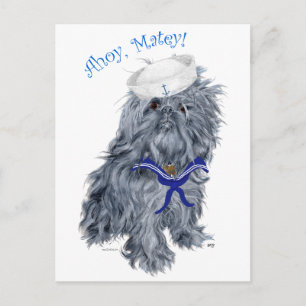 Brussels Griffon Sailor Postcard
