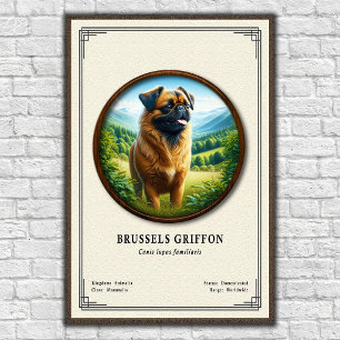 Brussels Griffon Zoology Series Poster
