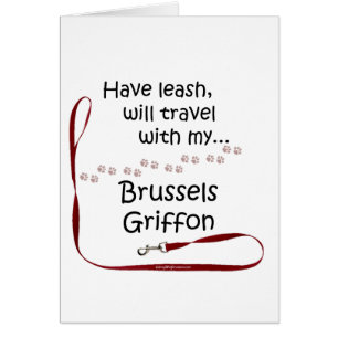 Brussels Travel Leash