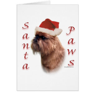 Bruxelles Griffon Père Noël Paws