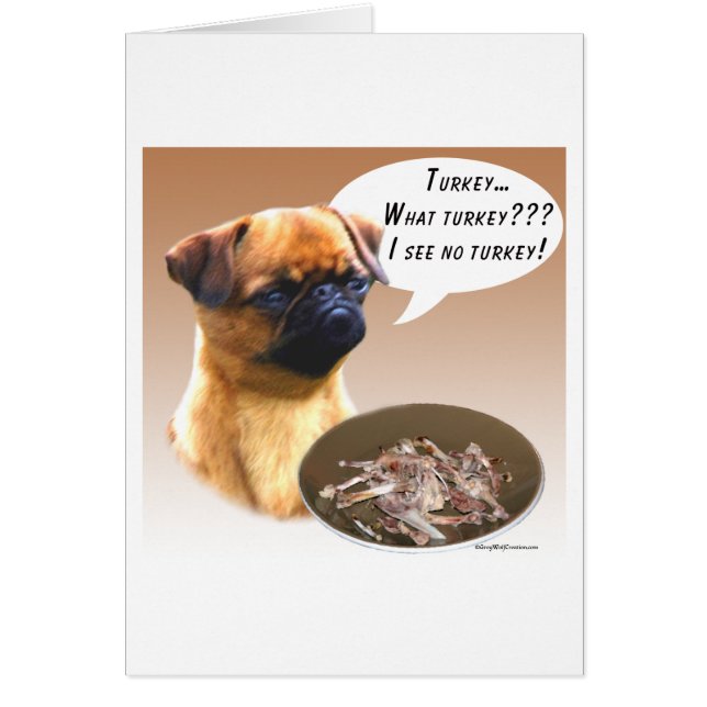 Bruxelles Griffon Turquie (Devant)