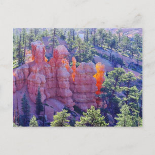 Bryce Canyon Glowing Postcard