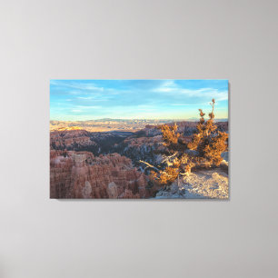 Bryce Canyon Landscape View Canvas Print