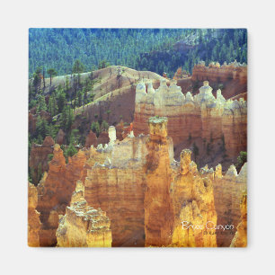 Bryce Canyon Magnet