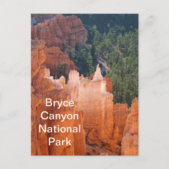 Bryce Canyon National Park Delicate Hoodoos Postcard (Front)