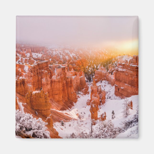 Bryce Canyon National Park Magnet (Front)