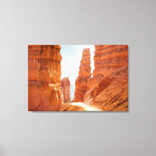Bryce Canyon National Park Trail Canvas Print