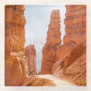 Bryce Canyon National Park Trail Glass Coaster